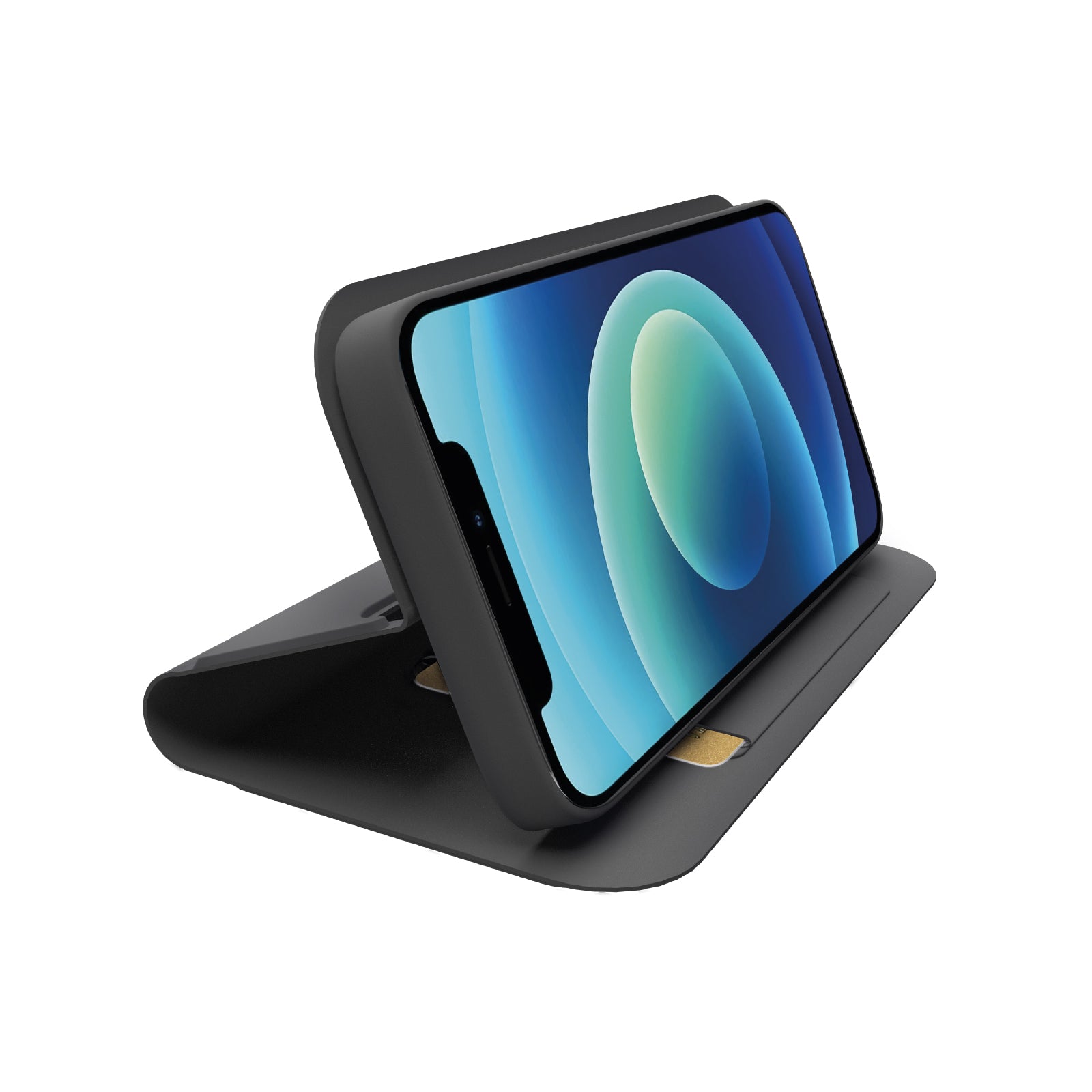 Funda Wallet Smooth para iPhone 12/12 Pro